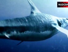 Karrueche Tran Bikini Scene – 3 Headed Shark Attack