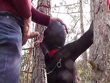 Tied To A Tree On A Sexy Outfit,  Masked And Outdoor Deepthroat With No Mercy