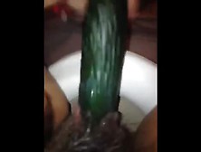 Cucumber. Mp4