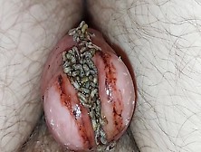 Mini Maggots Filling My Hole