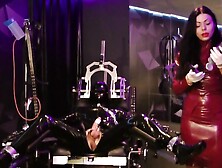 Lady Ashley Punishes Gimp's Dick And Balls In Bdsm Dungeon