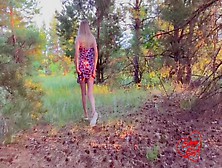 Risky Sex In A Coniferous Forest - Soboyandsogirl