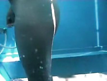 Tan Lined Ass In All Its Beauty In Beach Cabin Cam