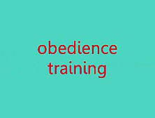 Obedience Training Cd Training Porn Video 3B