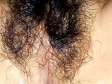 Bahrain Hairy Pussy