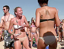 Babes At The Beach Party Showing Off Ass And Tits In Bikini
