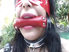 Pornstar Porn Video Featuring Audrianna Angel
