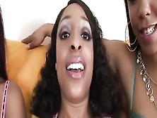 Three Black Lesbians Lick Out Each Others Pussy