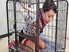 Girl In Cage P3