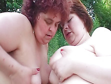 Bbw Redheads Make Lesbian Love Outdoors