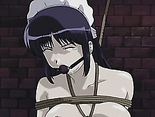 Japanese Anime Slut Gets Cunt Fingered While Bound With Multiple Ropes