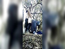 Lovers Loves Fucking Outdoors
