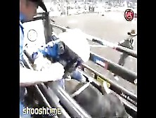 Another Bull Rider Gets Face Planted In The Gate
