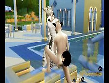 Furry Yaoi - Dog And Snow Leopard Sex In A Swimming Pool