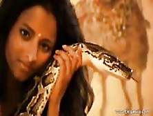 Una Troia Sexy Con I Serpenti E Un Dildo In Culo