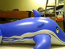Mating Inflatable Blue Whale 3