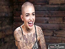 Inked Solo Beauty Pounded By Sex Machine