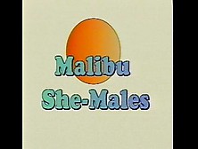 Metro - Malibu Sme Males - Full Movie