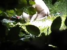 Couple Fucking Outdoors Caught By A Peeper