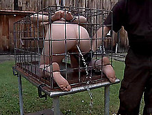 Juliette March Caged Outdoor Then Face Fucked In Bdsm