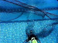Scuba Man And Woman Tangled In Net Underwater