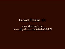 Cuckold Training 101