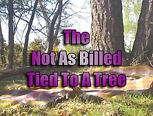 Watch Dogging Tied To A Tree - Louise,  Public,  Amateur Porn