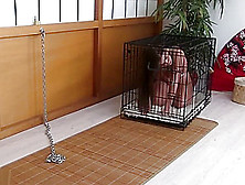 Little Caprice Chastity Caged And Gagged