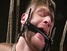 Muscle Slave Spanking And Cumshot