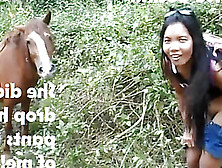 Thai Teen Peru To Ecuador Horses To Creampies
