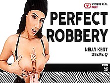 Perfect Robbery