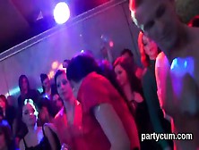 Sexy Kittens Get Fully Crazy And Nude At Hardcore Party
