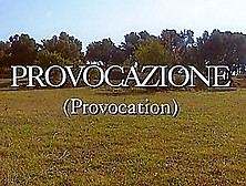 Provocation (1995)