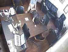 Russian Boss Tears Up Assistant At Office Covert Web Cam