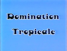 Dominations Tropicales