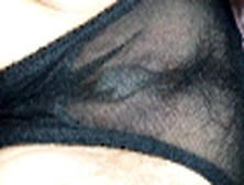 透明内裤，性感的逼毛和阴唇清晰可见