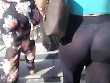 Blonde Tourist Legging Transparent Black