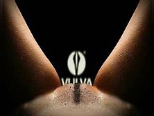 Erotic Hot Girl's Pussy Scent Turns You On - Vulva Original
