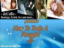 How To Train A Pony Vol 2