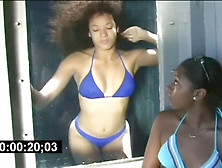 Ebony Underwater In Tank