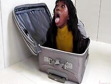 Hot Black Girl Gets Brutal Ass Fucking In A Suitcase (Noemie Bilas)