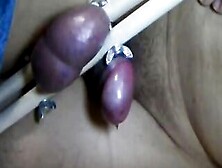 Testicle Cumshot Very Painful Ballbusting
