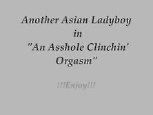 Yup,  Another Asian Ladyboy