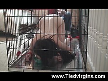 Tiedvirgins Video: Sam Bentley Dog Cage