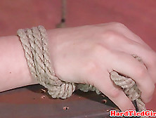 Roped Submissive Dildo Fucked While Tied Up