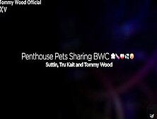 Tru Kait Suttin Penthouse Pets Sex Party