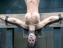 Enslaved Mature Pussytoyed While Upside Down