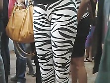 Public Cameltoe In Skintight Zebra Pants