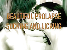 Beautiful Prolapse Sucking And Licking