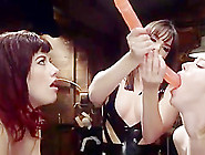 Double Ended Dildo For Anal Lesbians